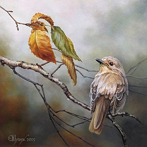 Oleg Shuplyak / Дві пташки / Birds of a feather
